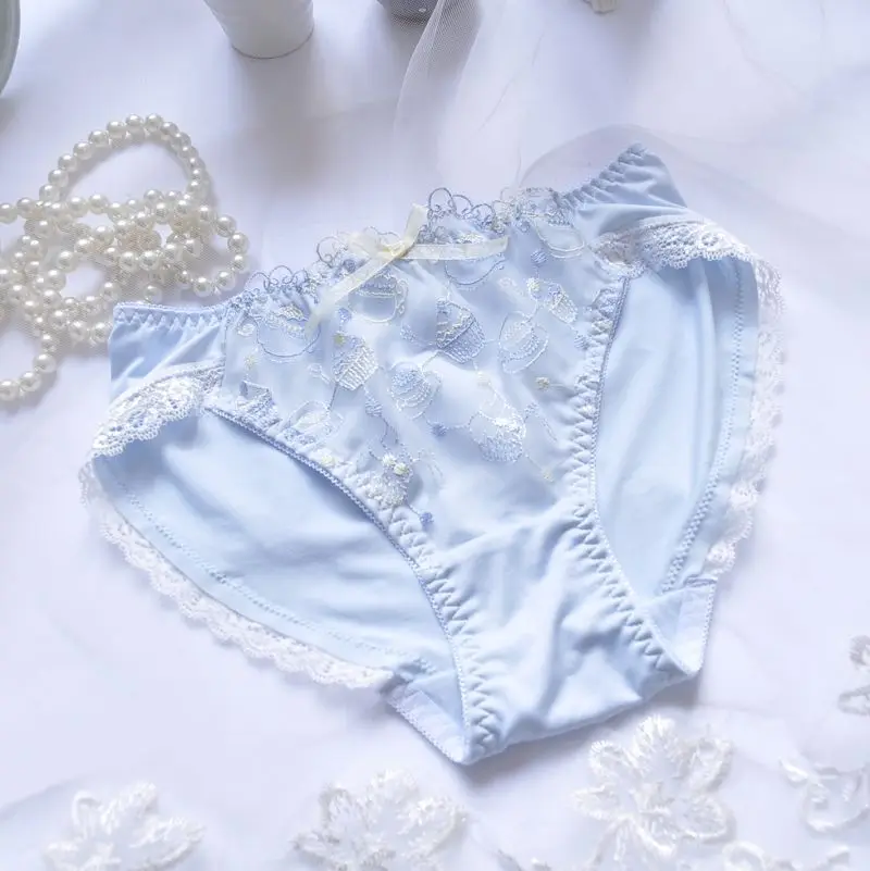 Japanese White Blue Underwire Lolita Embroidered Thin Cup Girl Cute Push Up Sexy Lingerie Bra Set D E