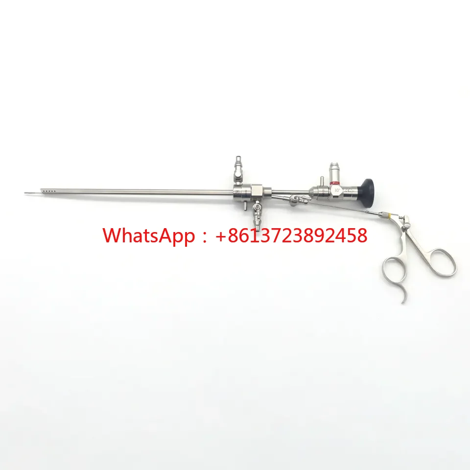 Hysteroscopy Set Rigid Endoscope Hysteroscope 2.9 30 Degree With 16 Fr Lockable Working Sheath 5 Fr Forceps