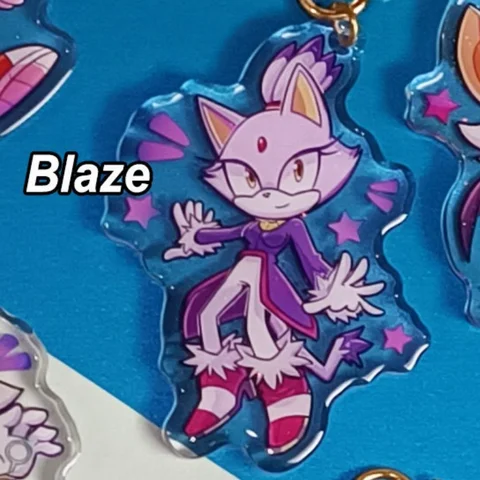The Hedgehog Acrylic Keychain Knuckles Shadow Sticks Rouge Amy Cartoon Rabbit Desk Display Anime Collectible Gift for Tadc Fan
