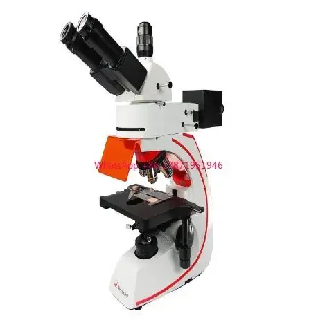 BMC533-FLED-B infinite optical system biological led microscope fluorescence microscope for medical diagnosis