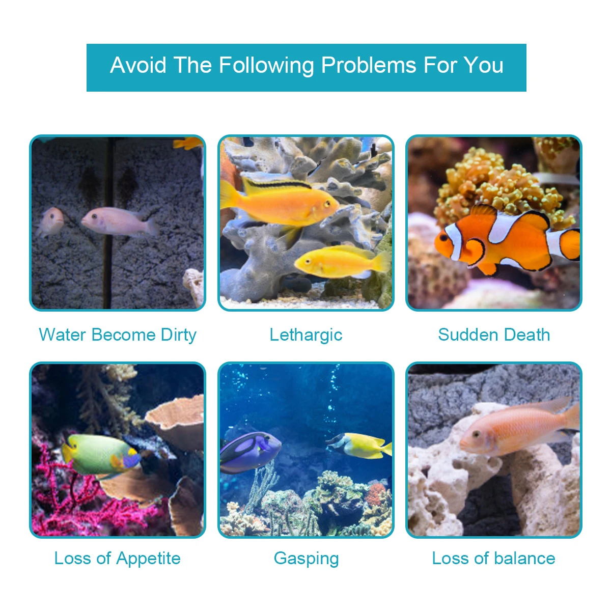 100pcs 7-IN-1 Aquarium Test Strips Fish Tank Test Kit Freshwater Saltwater Aquarium Water Test to Detect PH NO3 NO2 GH KH CI TCL