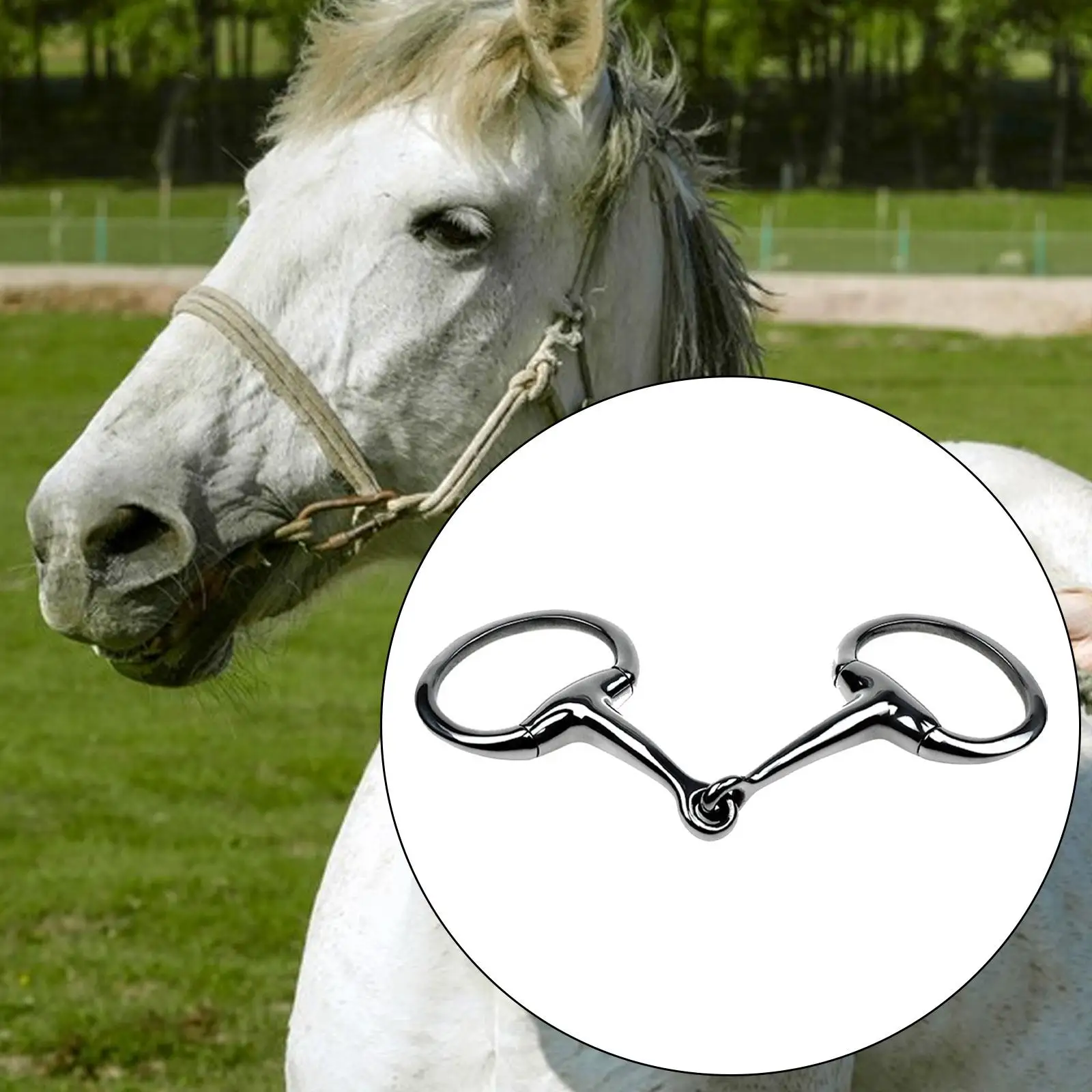 Horse Snaffle Horse Chewing Snaffle for Training Outdoor Activities Enthusiasts