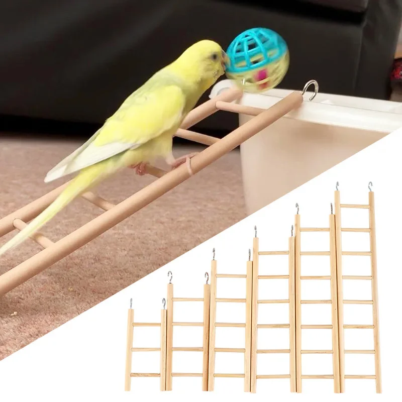 Échelles d'escalade en bois natural para hámster y perroquet, pont suspendu, jouets pour oiseaux, accesorios para pájaros
