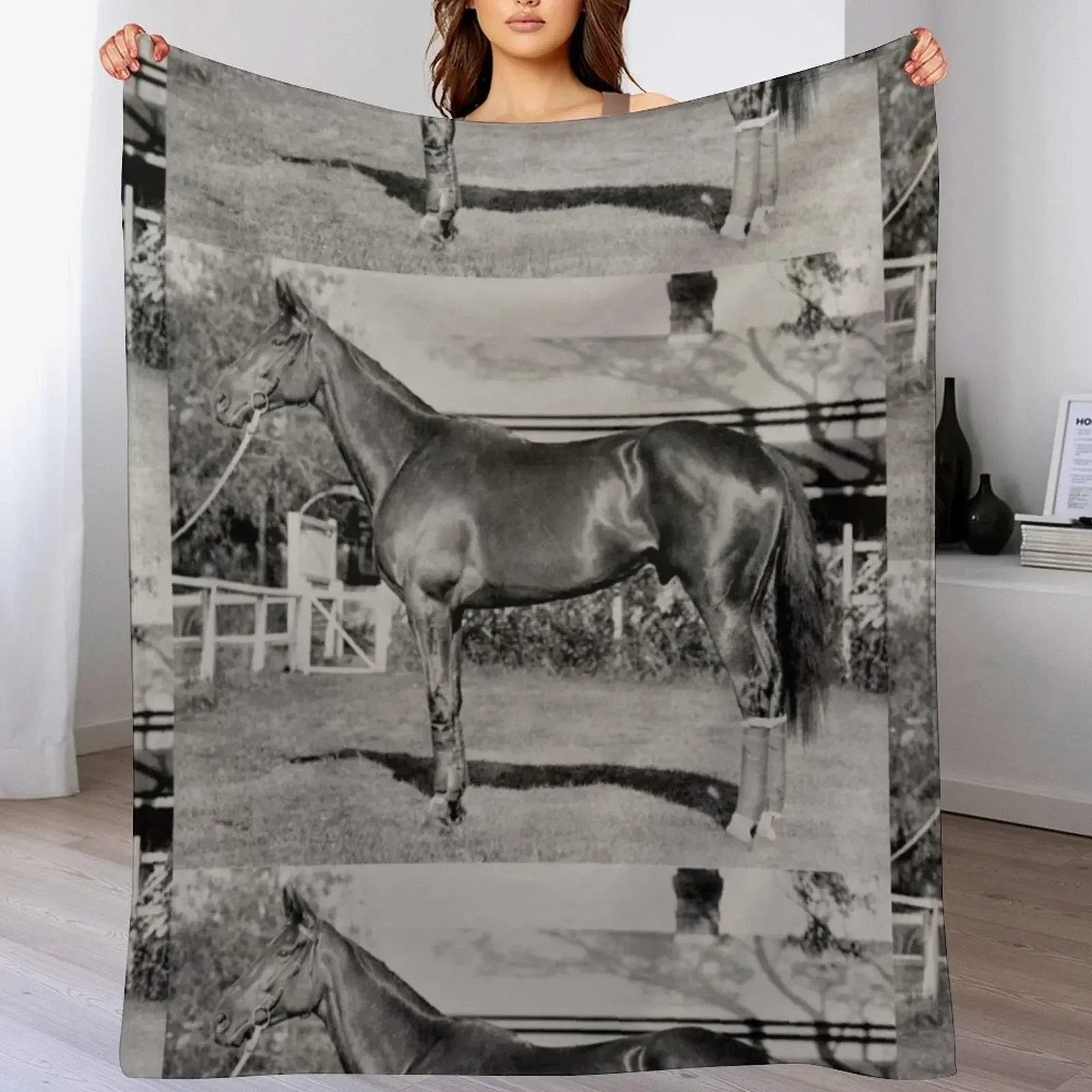 Champion Australasian racehorse Phar Lap. Throw Blanket Summer warm winter Blankets