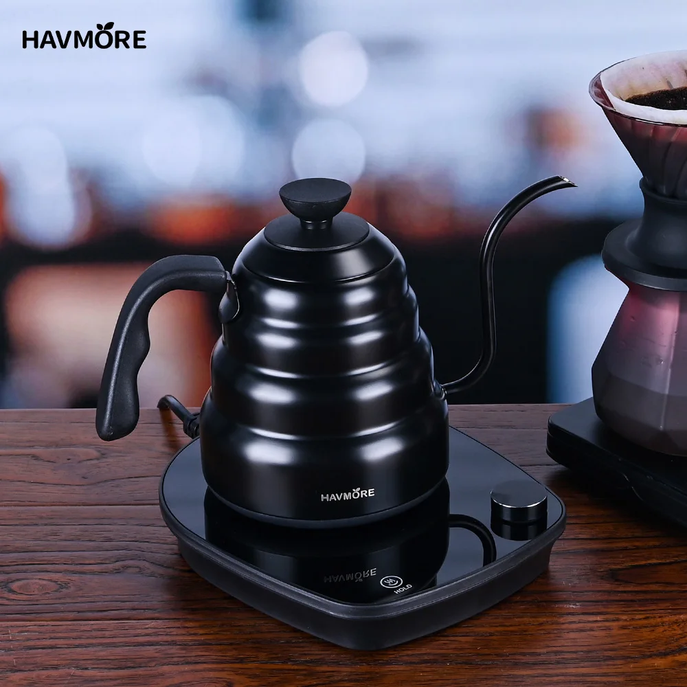 

Havmore Gooseneck Electric Kettle Stainless Steel Water Boiler Temperature Control Portable Coffee Tea Set Keep Warm