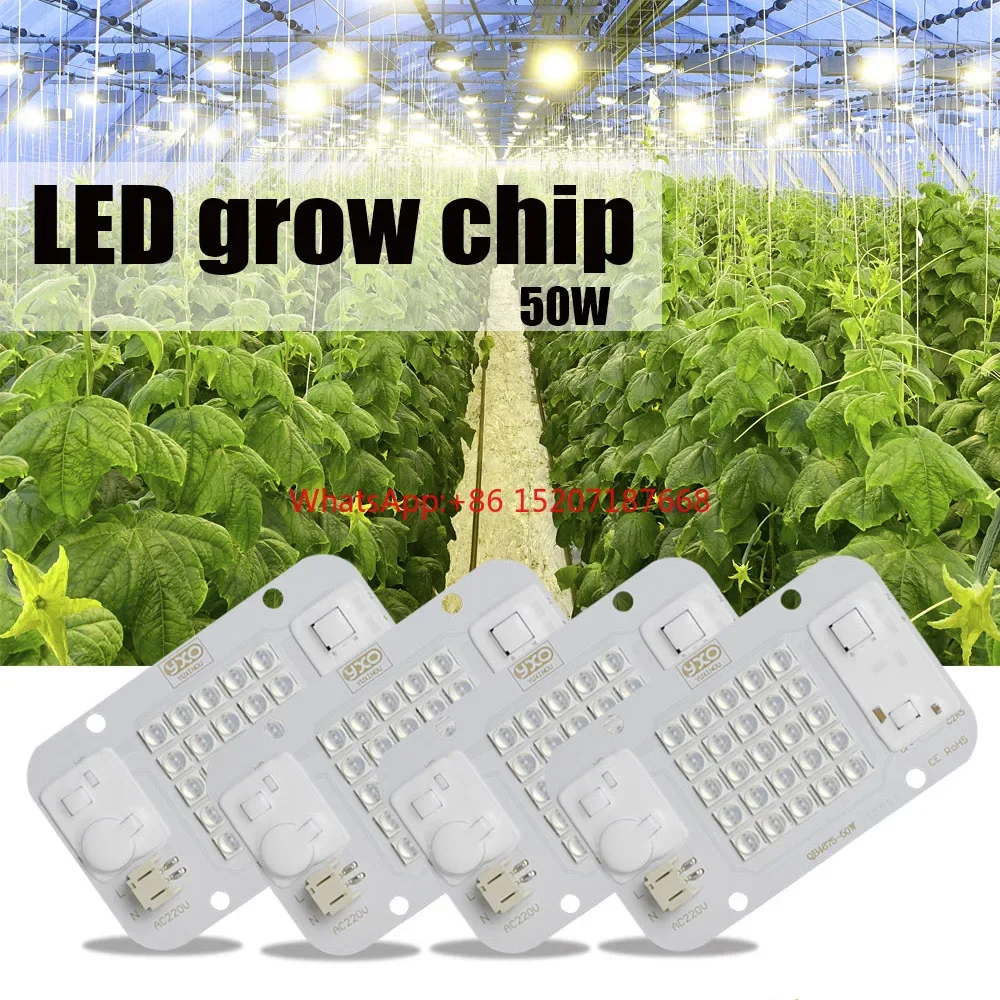 

DIY Hydroponic DOB Dimmable LED Grow Light 660nm Input 220V AC 50w Samsung lm283b For Indoor Plant Nursery And Flower COB Chip