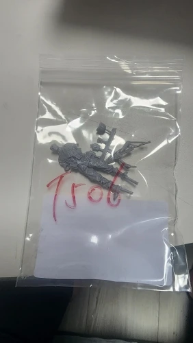 Buyer photo of this resin kit