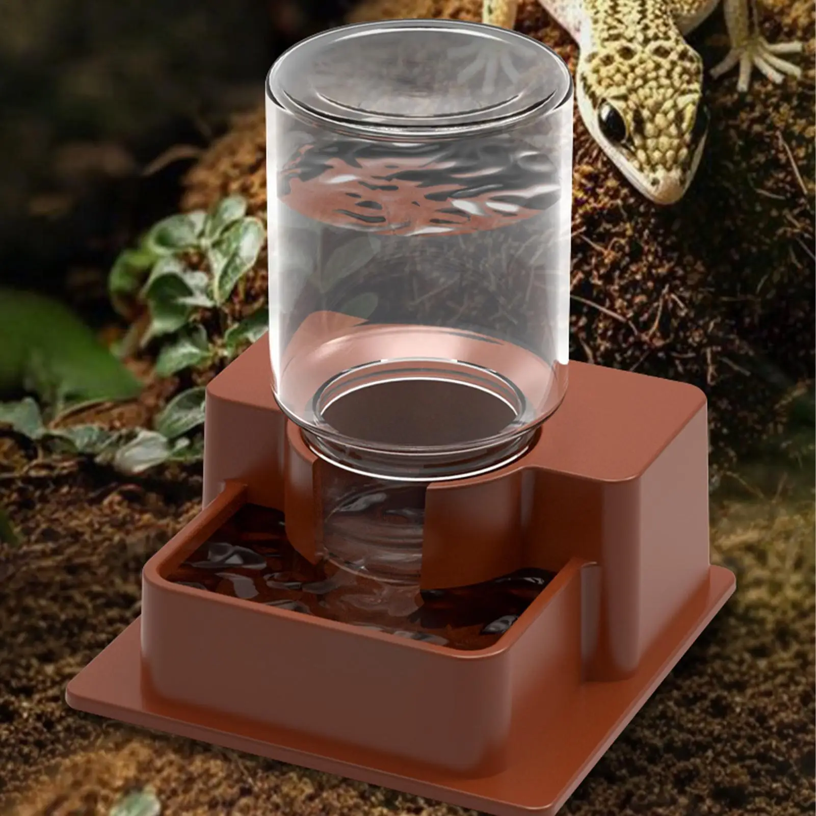 Automatic Reptile Feeder Automatic Detachable Reptile Bowl Tortoise Water Dish Gecko Drink Dispenser for Lizard Chameleon Snake