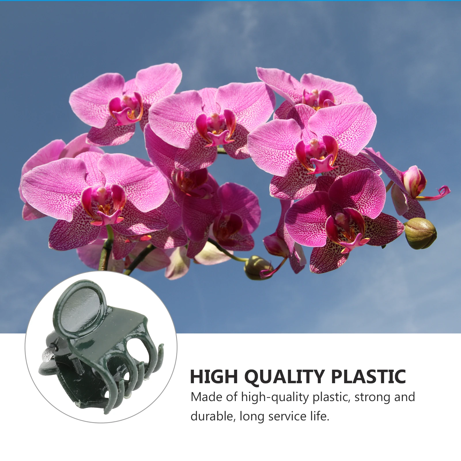 

Phalaenopsis Clip Greenhouse Trellis Clips Orchid Support Gardening Accessories Flower Supplies Stem Claw