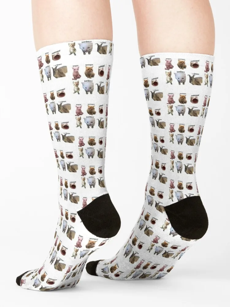 Bingus, Spoingus, Oatmeal, Michael (a), herbert, and Big Floppa - All the Bingus Cats Socks aesthetic anime Women's Socks Men's