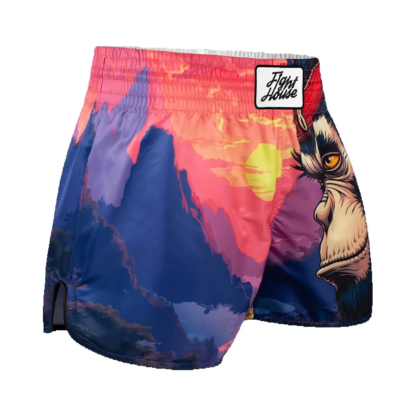 Fight House Muay Thai shorts, colorful printed, comfortable and breathable, fighting gym MMA boxing shorts