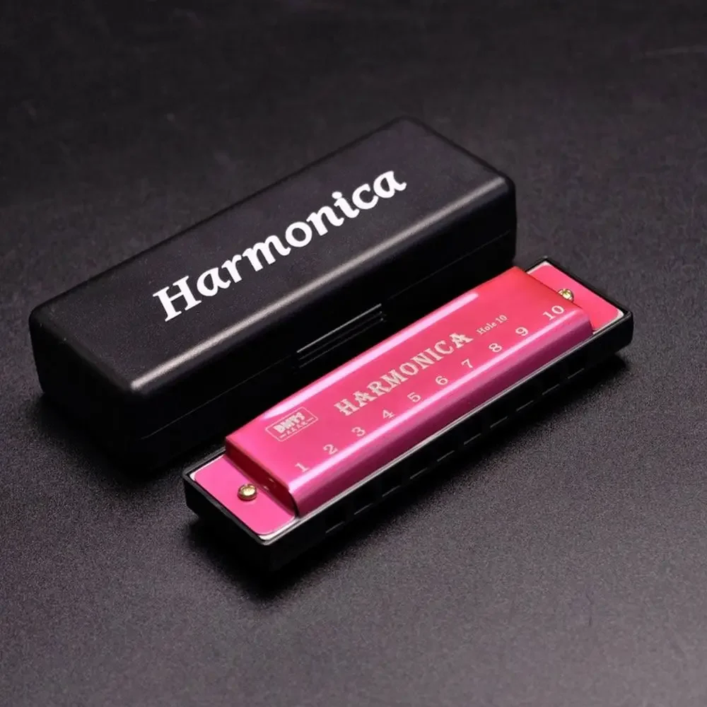 Portable Key of C 10 Hole Harmonica Metal with Box Mouth Organ Rectangle Beginner Teaching Diatonic Harmonica Students