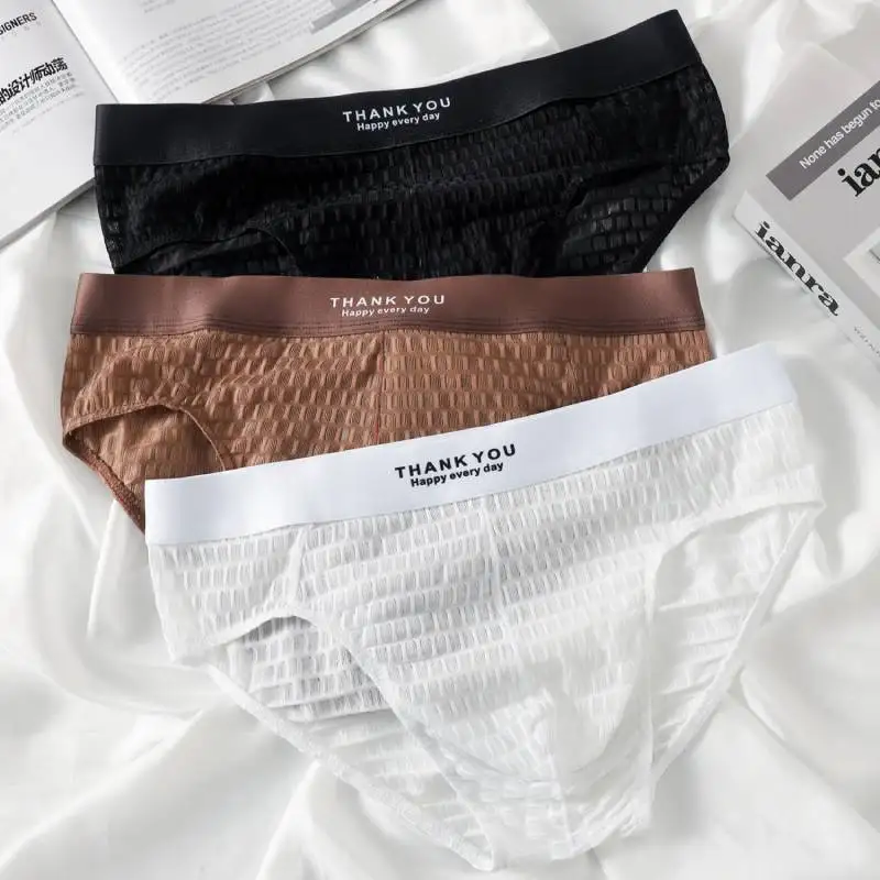 

3Pcs Men's Briefs Ice Silk Man Underwear Thin Ice Silk Breathable Quick-dry Underpants Low-rise Underwear Panties