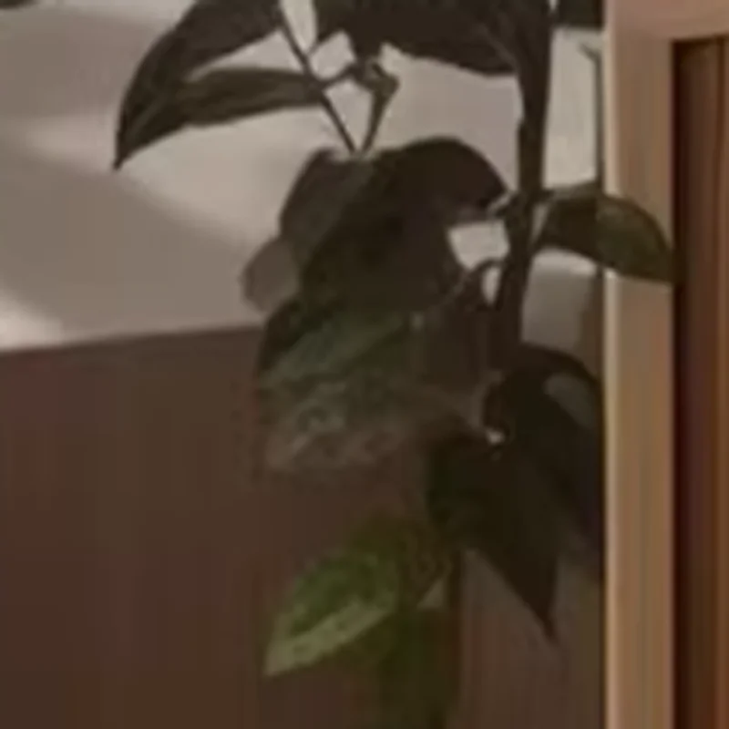 Hot Selling Profess… - image