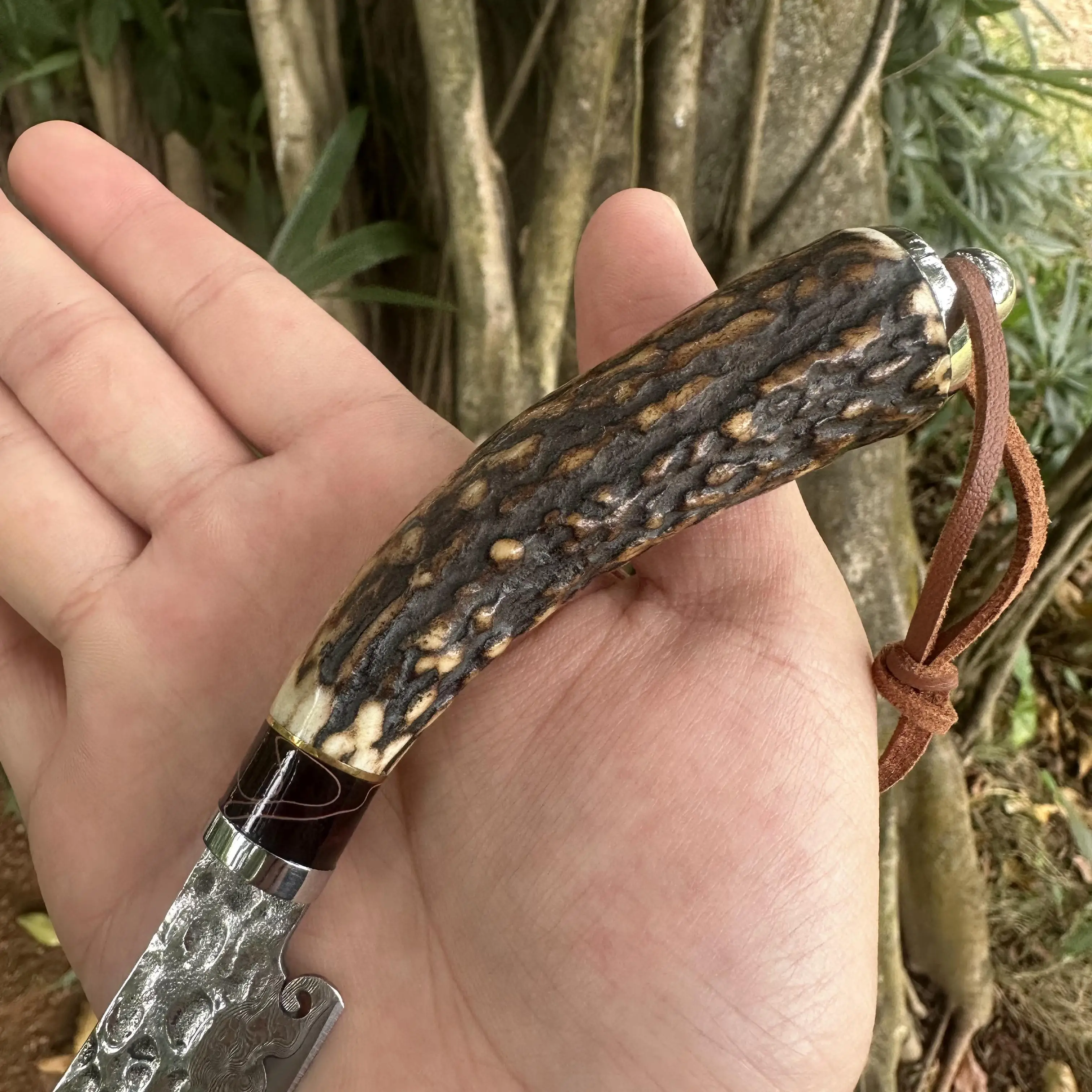 Topwell Handmade Knife Premiun VG10 Damascus Blade  Antlers Handle Super Sharp With Real Leather Sheath Hunting Camp Collection view 5