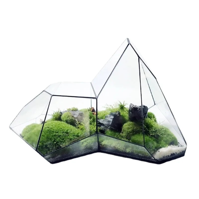Micro landscape moss rainforest tank geometric glass flower house ecological bottle succulent aquatic plant tank flower pot