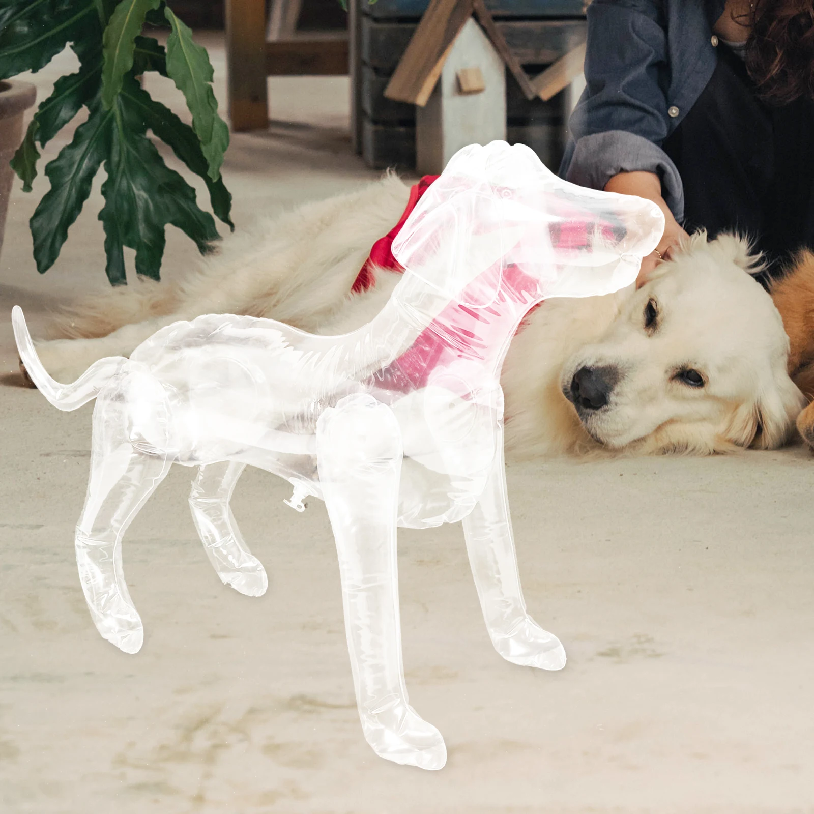 

Inflatable Dog Mannequin PVC Display Model Adjustable Size Transparent Pet Clothes Stand Clothing Rack Shop Window Decor Pet