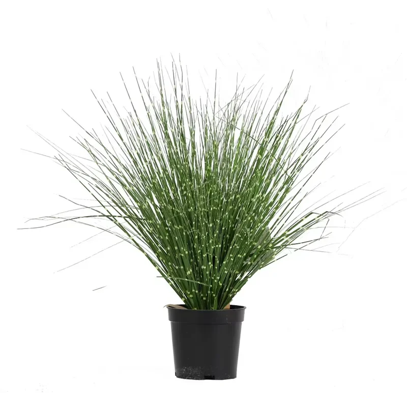 Top Fashion Artificial Onion Grass Interior Green Potted Plant for Window Decoration Home Decor Accessories for Onion Grass