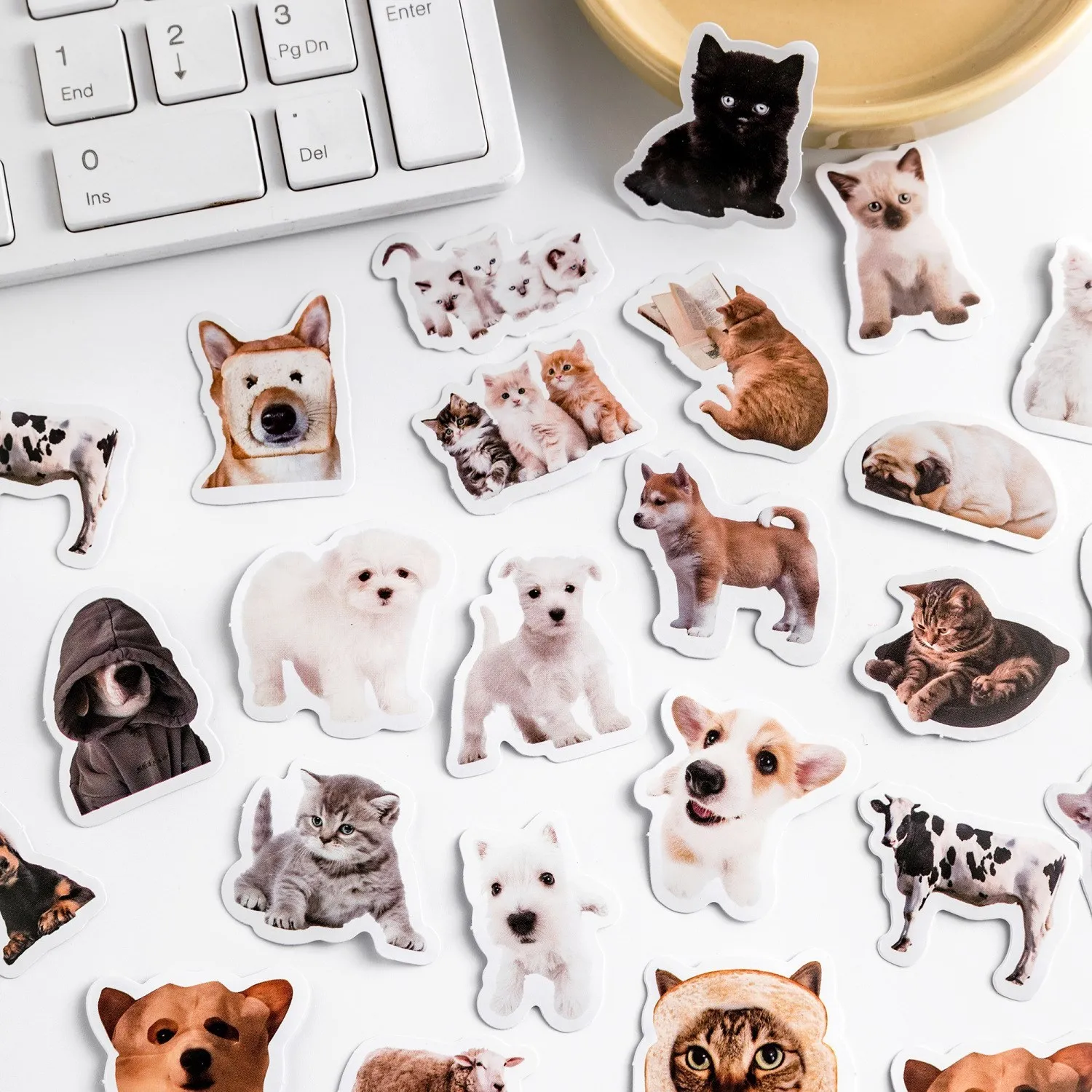 46 Pcs Kawaii Laptop Stickers Decals Boxed DIY Decoration Cute Dog Cats Stickers For Planners Scrapbooking Suitcase Diary