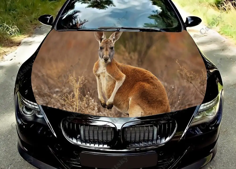 Animal Kangaroo Car Hood Sticker Painting Self-adhesive Universal Car Accessories Film Modified Hood Protect Decal Decoration