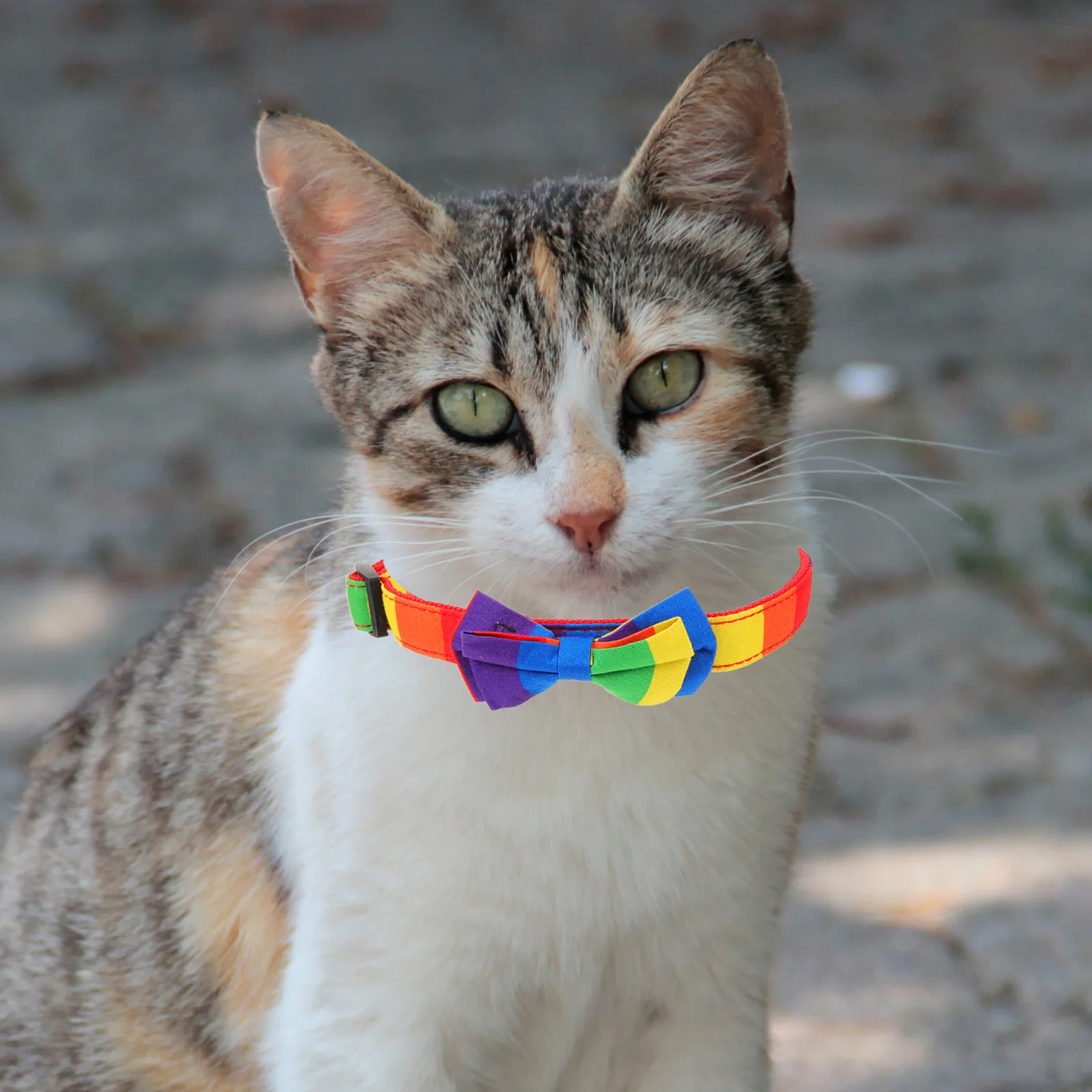 

Rainbow Butterfly Bow Pet Collar Adjustable Cat Kitten Dog Puppy Decorative Accessory For Party Christmas Wedding Photo