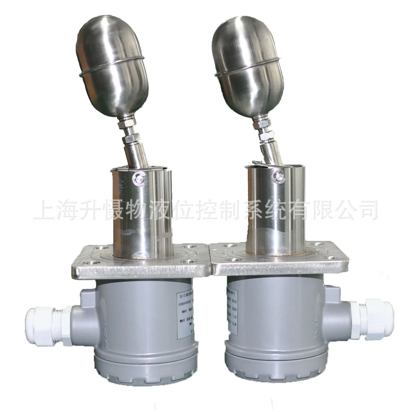 SUS304 Stainless Steel Side Mounted Float Level Switch Blue Connection Water Level Gauge for Reliable Liquid Level Detection