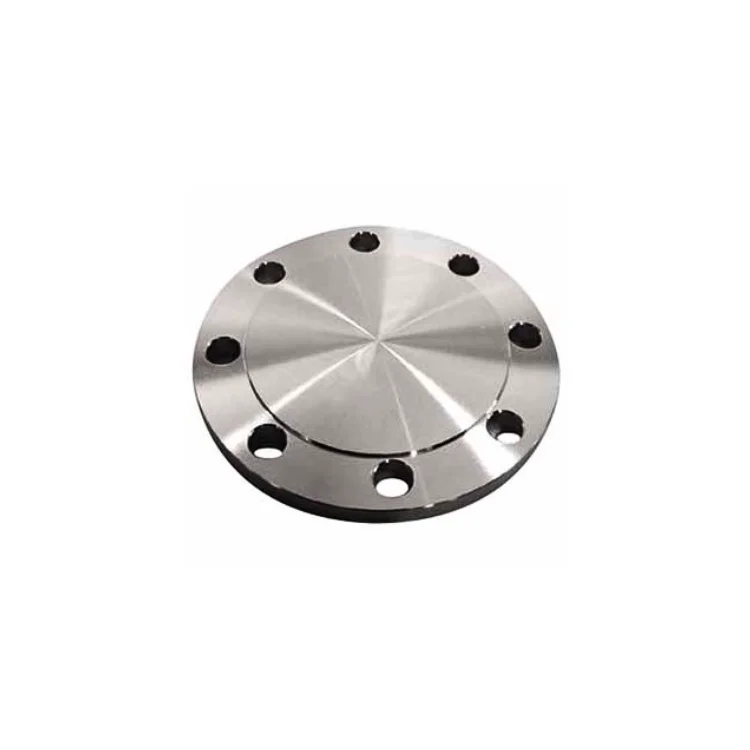 

Stainless Steel Flange 1/2 "-36" BS4504 PN10 PN16 Cast