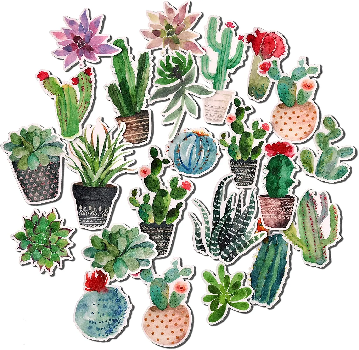 26pcs Watercolor Cactus Stickers and Succulent Decals for Laptops Sticker Pack for Scrapbook and Journal