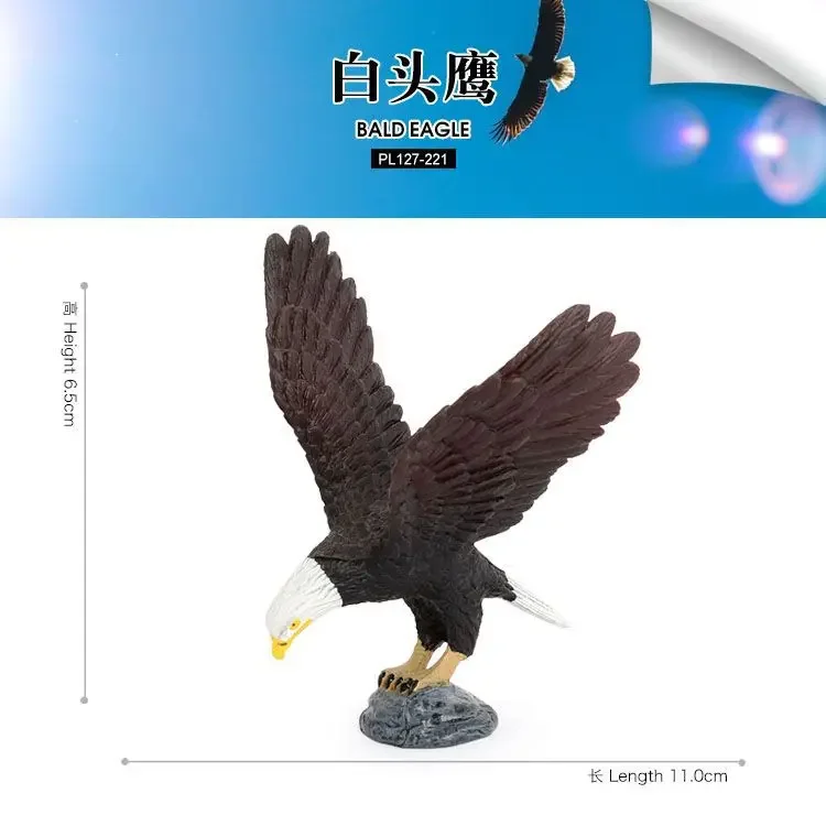 Solid static simulation wildlife model bird bald eagle children's cognitive home ornament