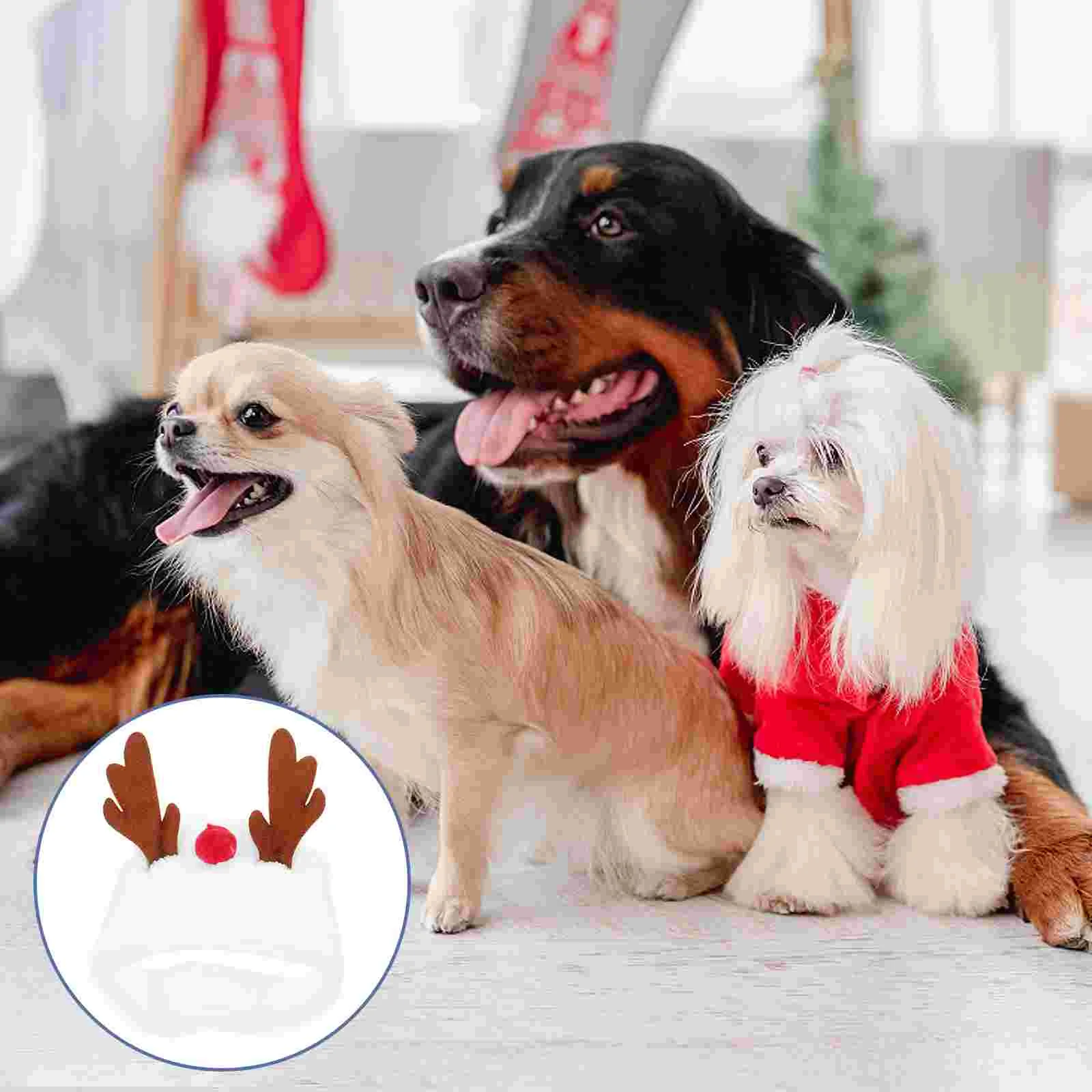 Navidad mascota sombrero cabeza decoración fiesta disfraz Navidad traje perro decoración tocado suministros rojo