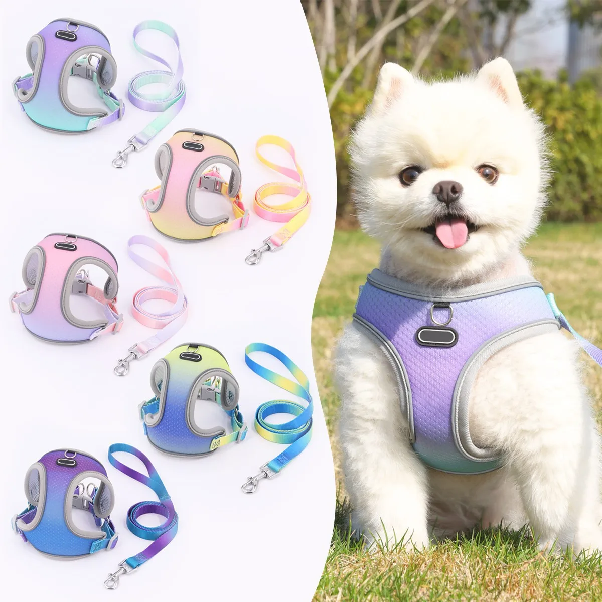 Macaron Color Cat  Harness Leash Outdoor Pet Clothing Accessories for Cats Dogs Breathable Adjustable Strap Collar Pets Supplies