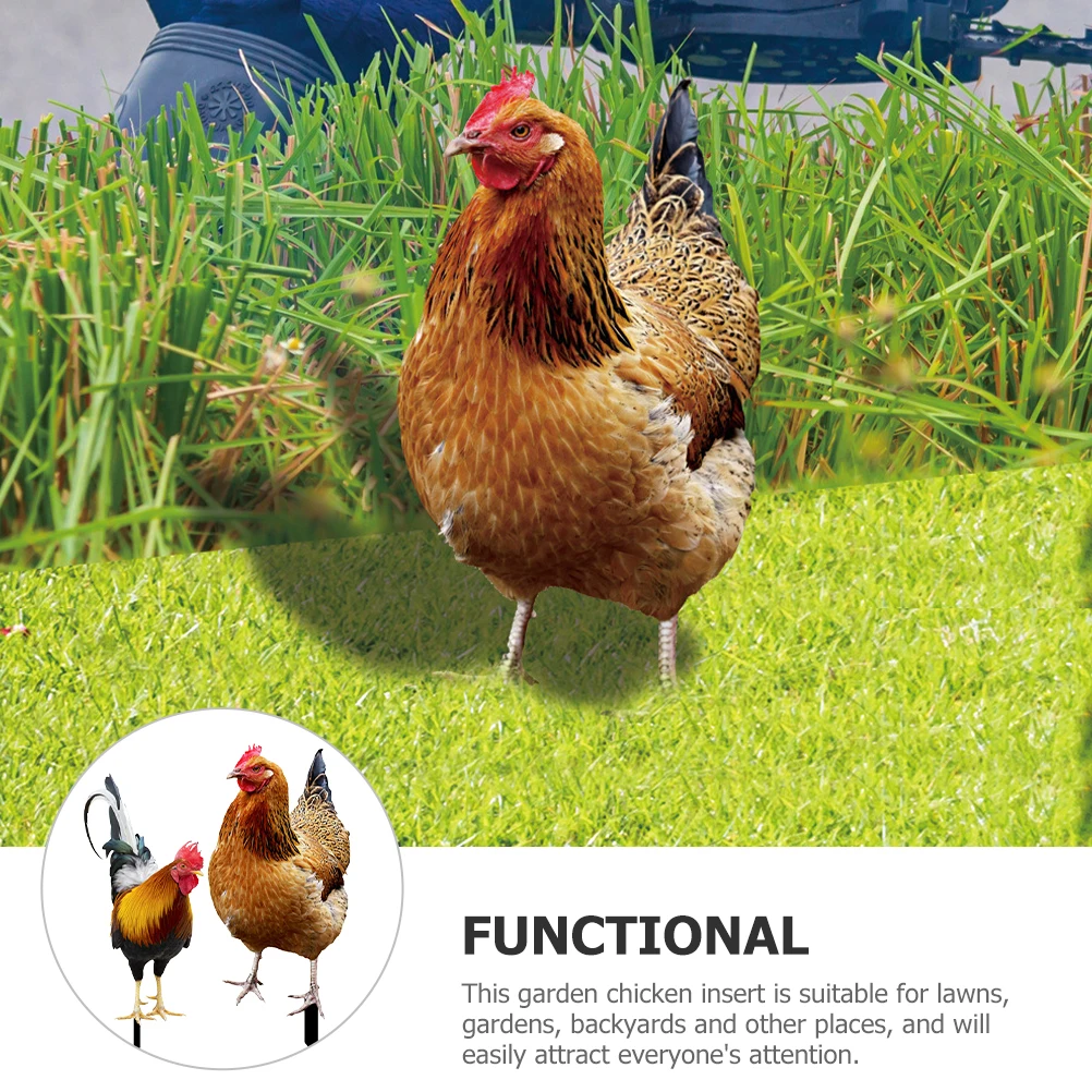 

2 Pcs Decorative Insert Chickens Sign Garden Decoration Signs for Coop Running Stake Acrylic Funny