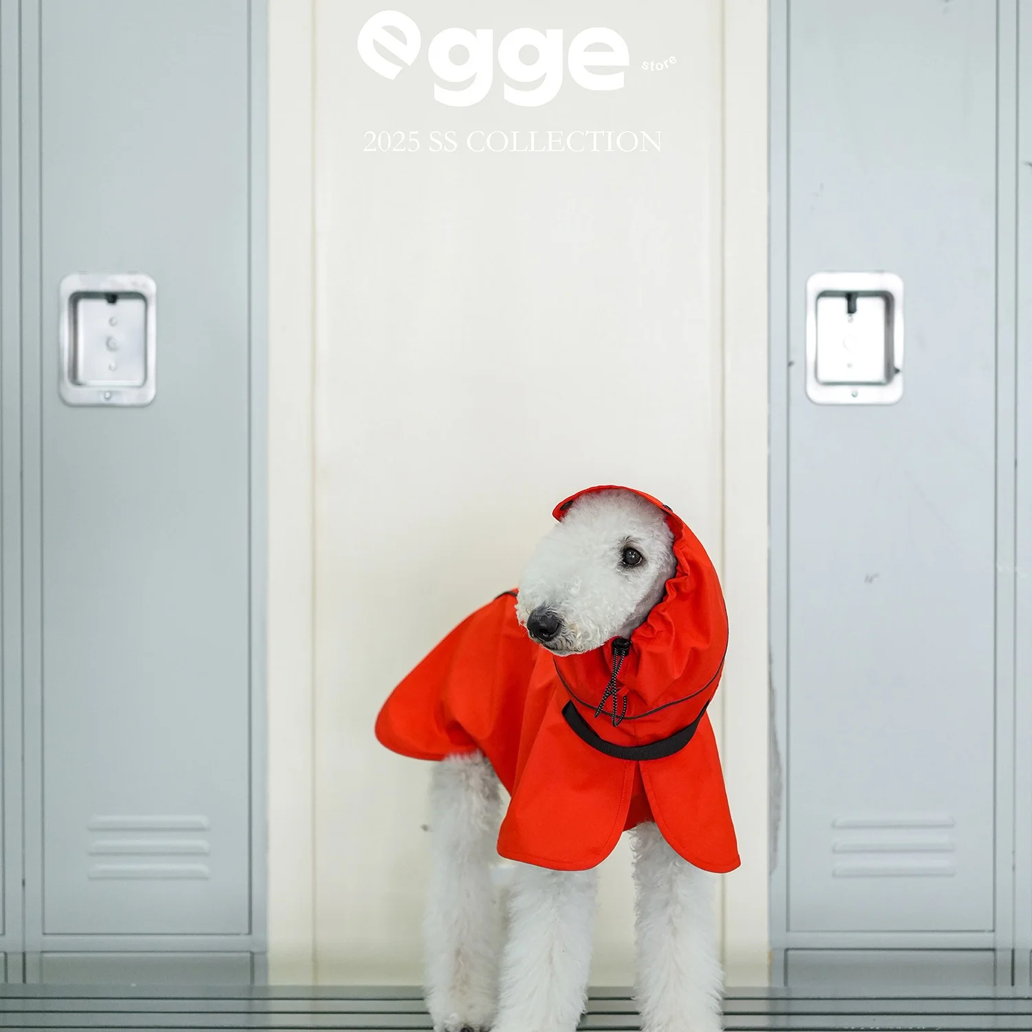 egge-lightweight-waterproof-red-hoodie-raincoat-for-italian-greyhound-fashion-modern-water-repellent-poncho-for-bedlington-dogs