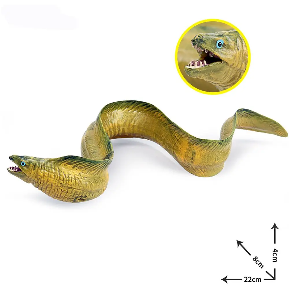 Wetenschap Educatief Speelgoed Vroeg Leren Mariene Organismen Elektrische Paling Beeldjes Simulatie Sealife Moray Paling Model