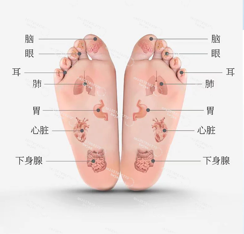 Biological energy meter p90 + qi and blood warming physiotherapy Fuyang instrument magnetic floating energy balance instrument