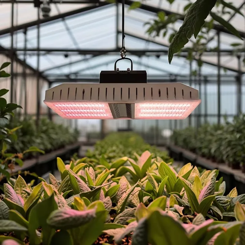 

Best Sellers 800W LED Grow for Light Full Spectrum White Light for Optimal Plant Growth Aluminum Body with IP65 Rating