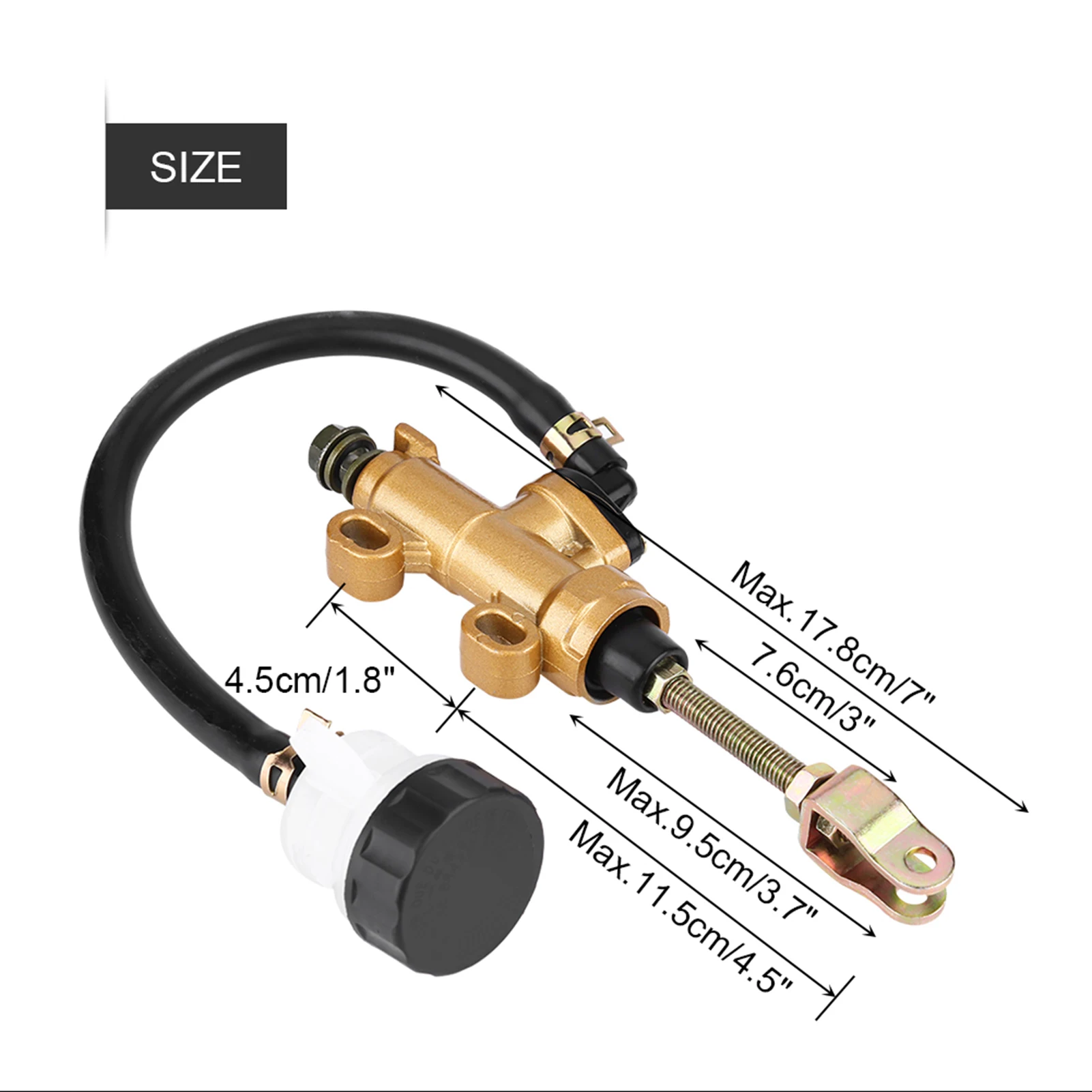 Pompe à Intervalles Universelle avec Réservoir pour Moto, Frein à Pied Arrière, D343 Bike RL