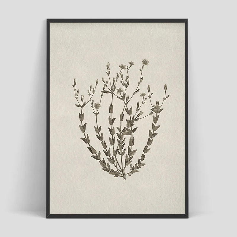 Vintage Botanical Flower Poster Print Beige Tones Floral Blossom Canvas Painting Wall Art Picture Living Room Home Decor Mural