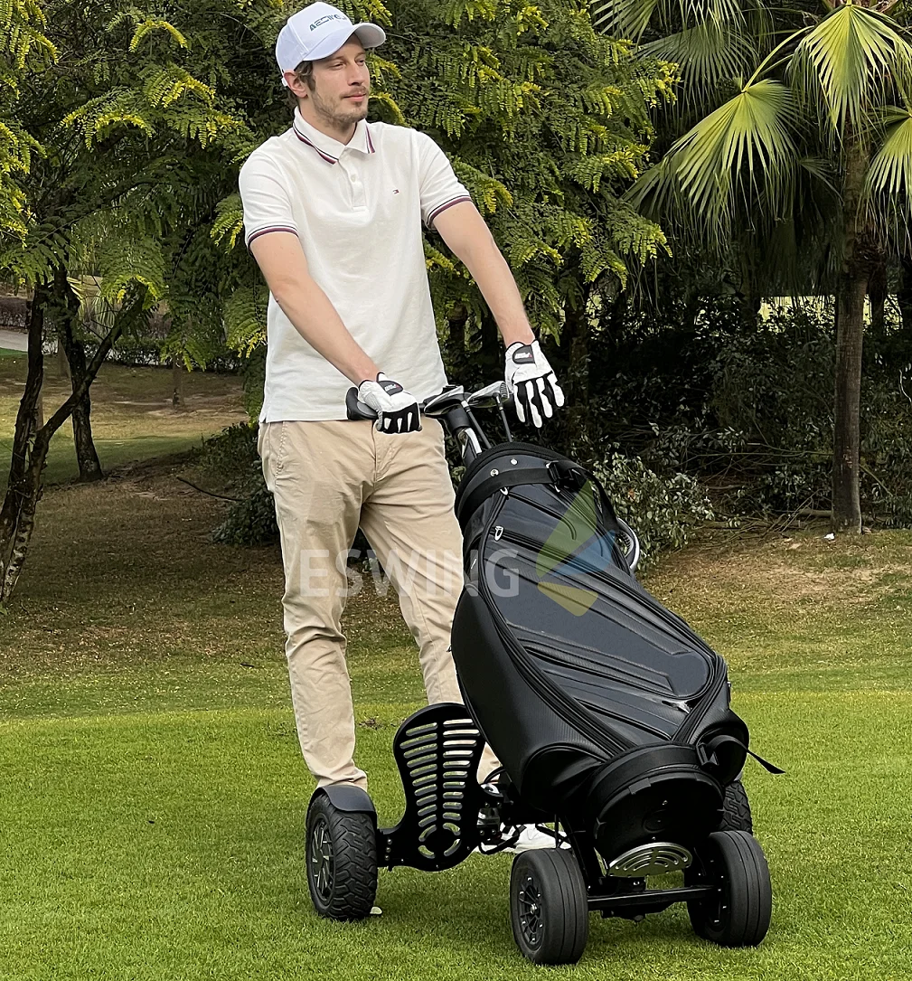 Eswing Factory Dire…