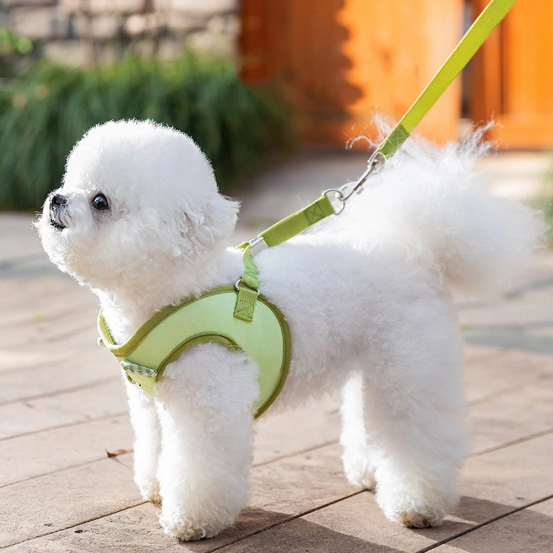 Candy Color Small Dog Harness Funny Animal Shaped Vest Pet Cat Accessories Summer Breathable Mesh York Dog Leash Set