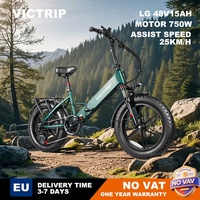 PULUMA T5S Adult Electric Bike 250W/750W 48V 15AH 25KM/H Pedal Assist Bicycle Women and Men Electric Bike 20*4.0 Fat Tire Ebike