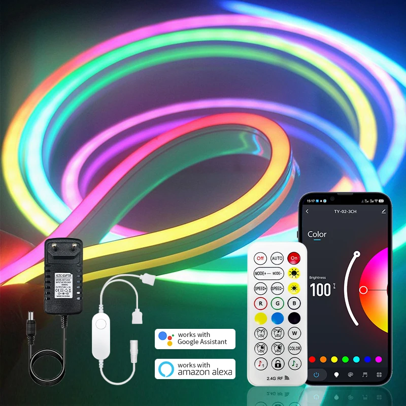 Tira de luces LED de neón DC24V Tuya WiFi RGBIC regulable 2M-16M lámpara LED cinta Flexible IP67 impermeable Control de música decoración de luz del hogar