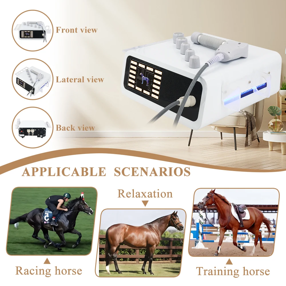 Animal Pneumatic Shock Wave Machine 10Bar For Relieve Joint And Knee Pain Treat Tendon Injury Relaxation Physiotherapy Massager