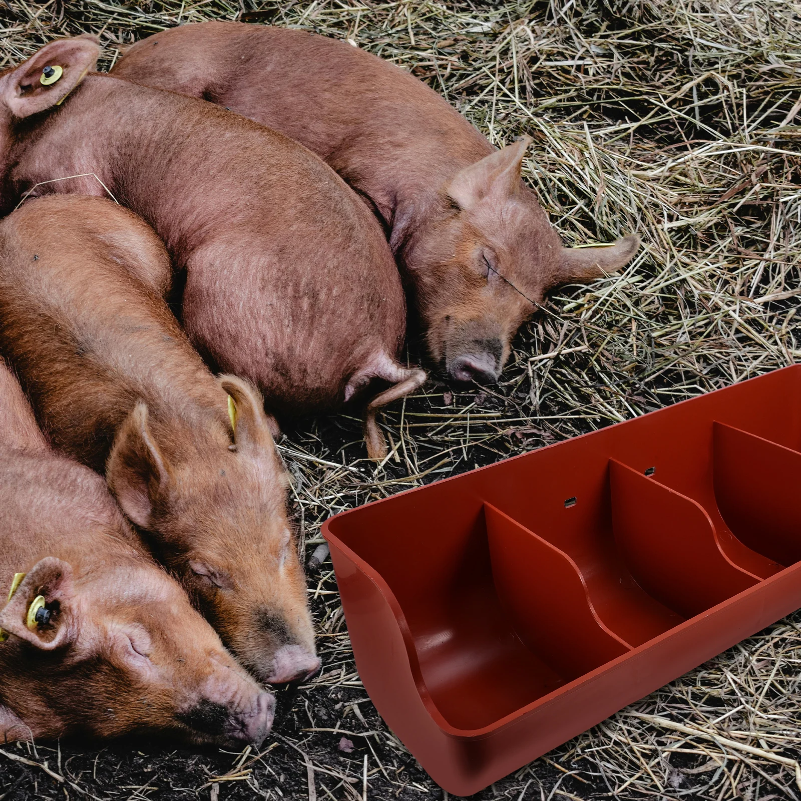 

Pig MultiSlots Food Trough for Goats Pigs Pet Brown Hanging Farm Livestock Chicken Container Water Troughs Horse