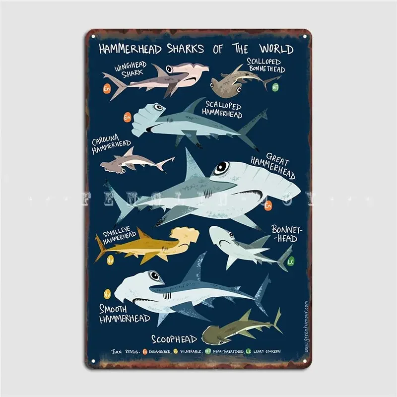 Hammerhead Sharks Of The World Metal Plaque Poster Living Room Poster Wall Mural Create Tin Sign Poster