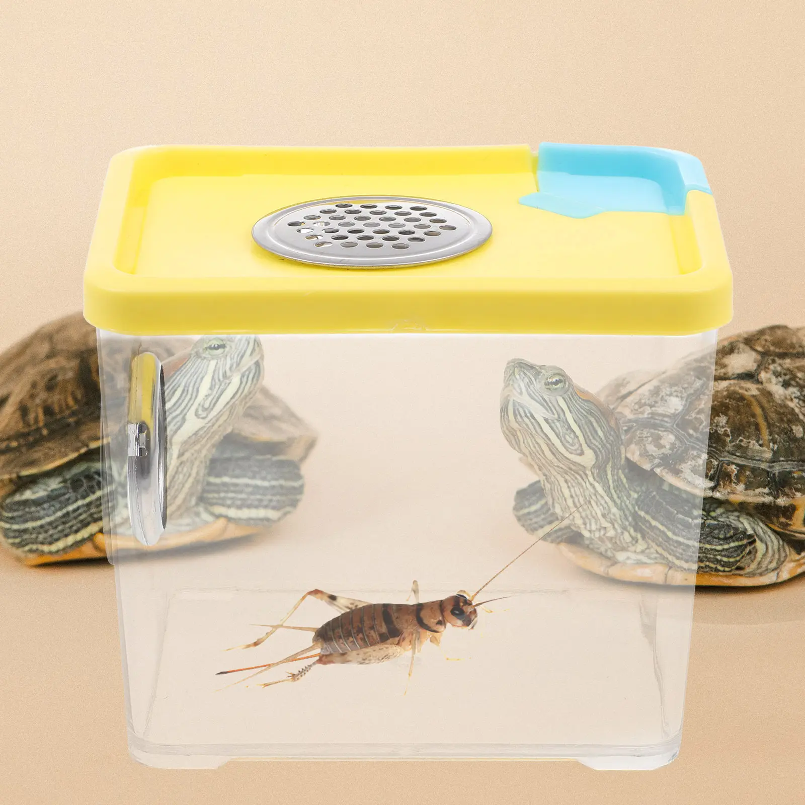 Clear Reptile Breeding Box – Compact Feeding Container for Spiders, Lizards, Tortoises, Crickets & Snails