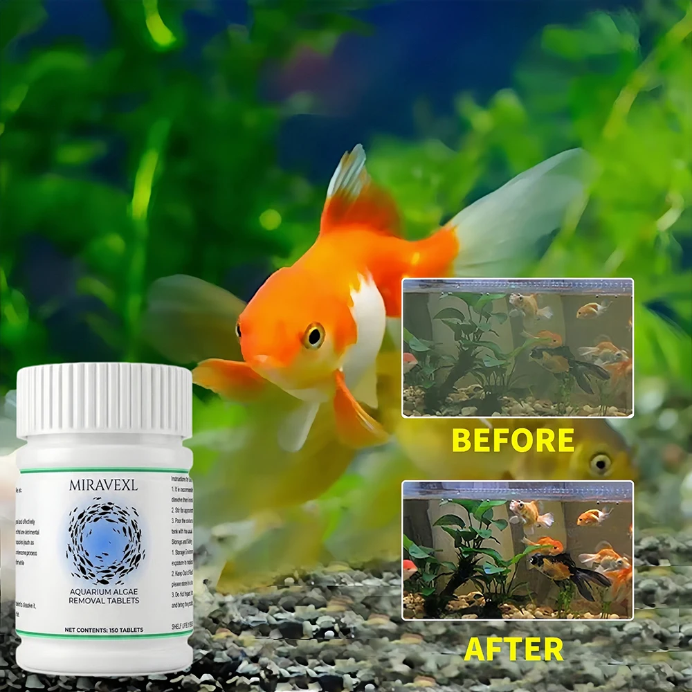 MIRAVEXL Fish Tank Algae Remov - Planted Aquarium Algae ulasan dan harga