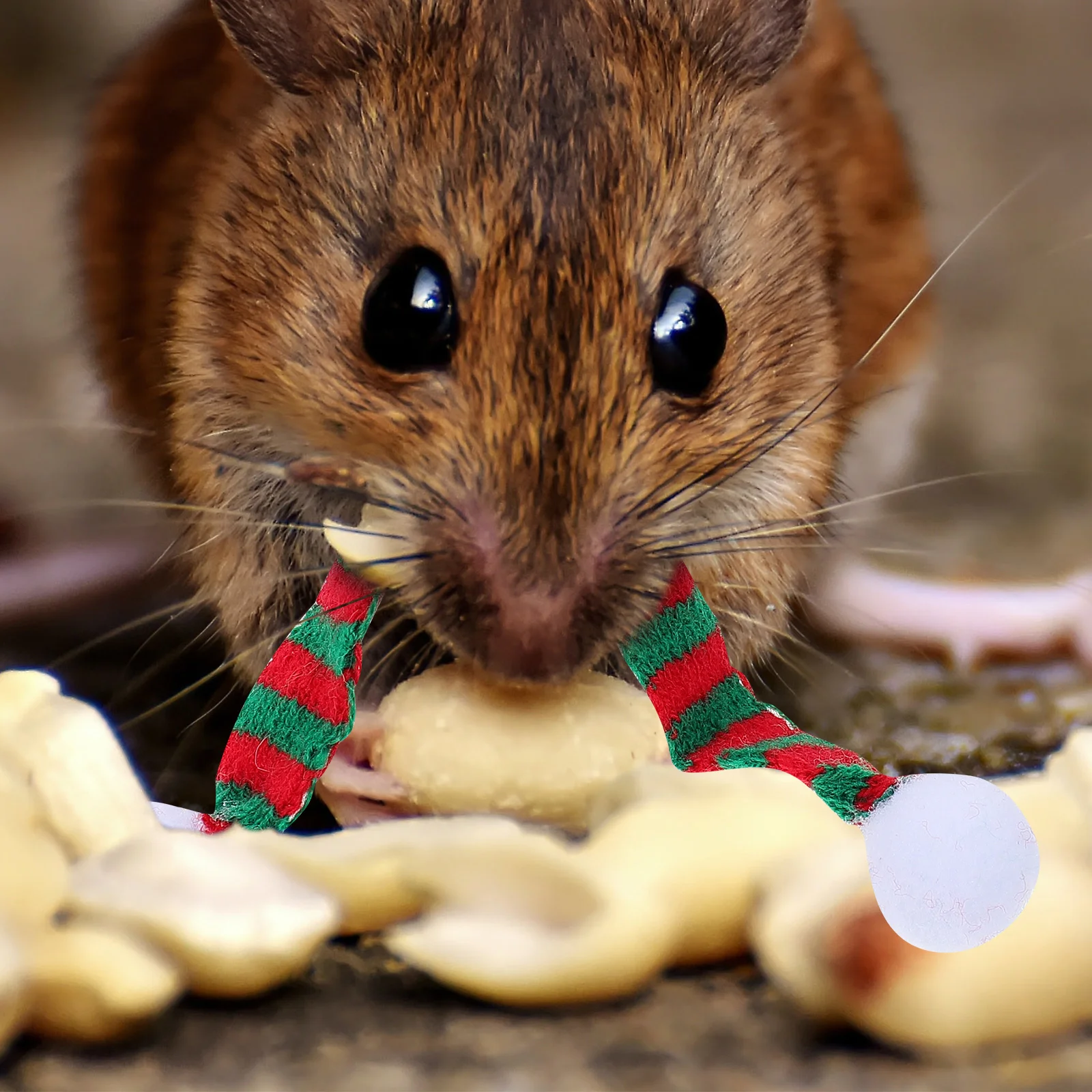 ペットの装飾、ウサギの装飾、クリスマスアクセサリー、ハムスターのためのモルモットの帽子のネクタイ