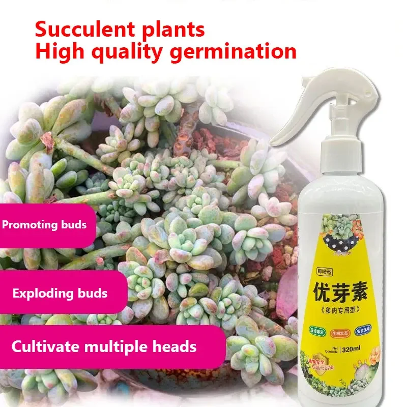 Succulent Plant Eugenin Promotes Budding, Dwarf Fat, Prevents Leggy Organic Granules 320ml