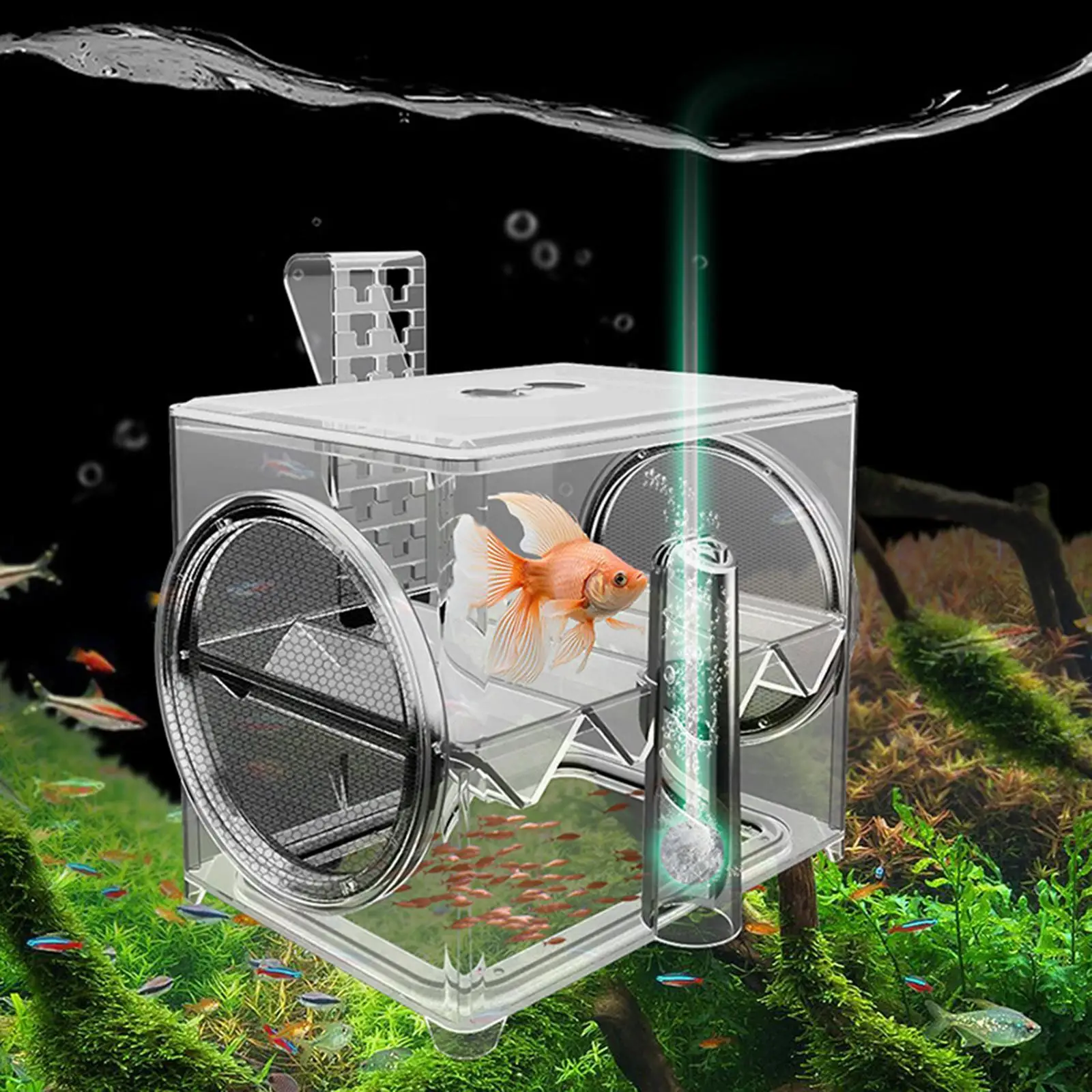 Aquarium Breeding Box Aquarium Feeding Box Fish Egg Isolation Acrylic Isolation Box Fish Tank Hatchery for Baby Fish Shrimp